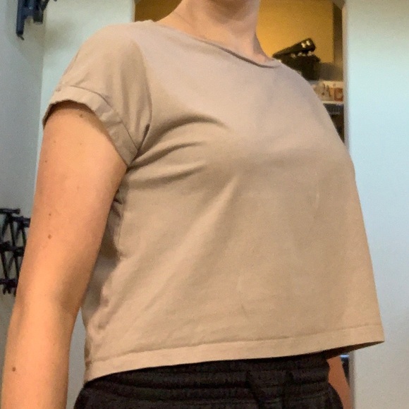 Zara Basic Collection Tan Women’s Cropped Tee Size Small - Picture 7 of 7